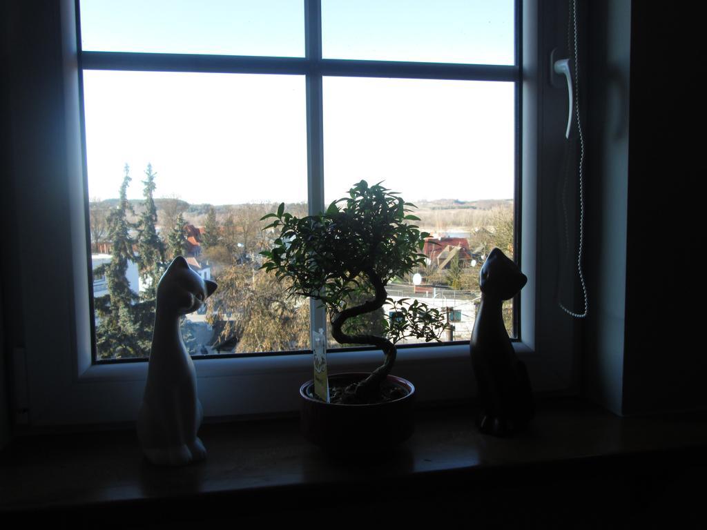 Apartamenty Przy Farze Kazimierz Dolny Oda fotoğraf
