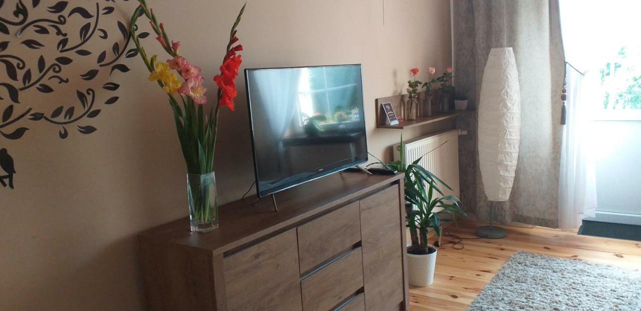 Apartamenty Przy Farze Kazimierz Dolny Dış mekan fotoğraf